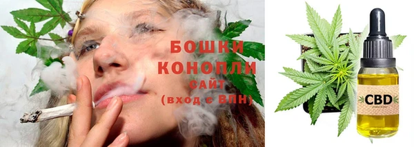 индика Армянск