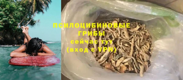 индика Армянск