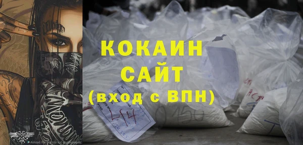 индика Армянск