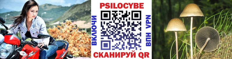 Галлюциногенные грибы MAGIC MUSHROOMS  Узловая 